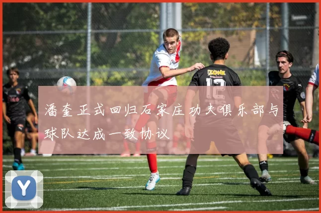 潘奎正式回归石家庄功夫俱乐部与球队达成一致协议